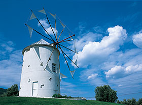 オリーブ公園 風車
